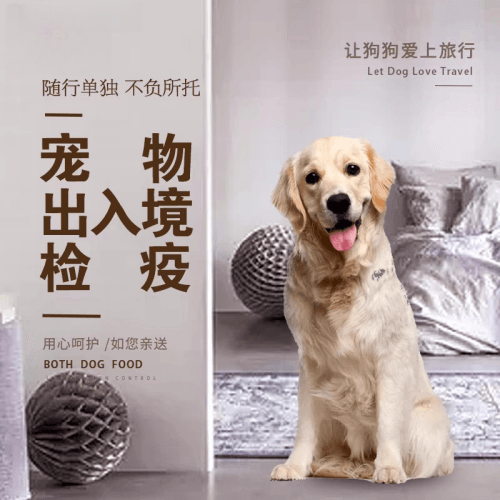 锡林郭勒宠物托运到哥伦比亚猫狗宠物入境规定和