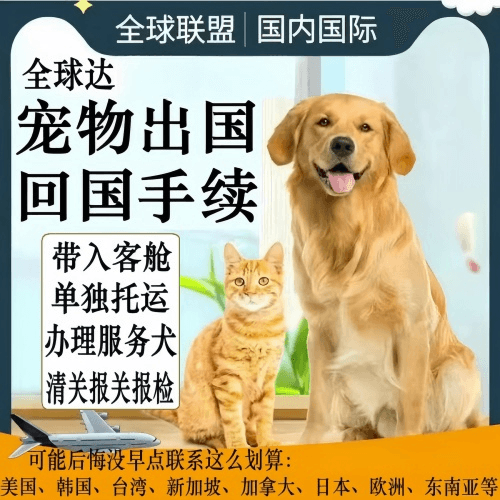 锡林郭勒宠物托运到柬埔寨宠物入境规定和要求