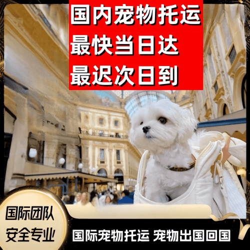 锡林郭勒到澳大利亚（澳洲）宠物入境规定和要求
